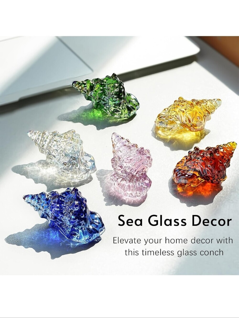 Hand-Blown Glass Shell Accent - Multicolor Set - Picture 2 of 7